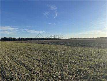 Do sprzedania działka 1,9 ha z mediami i MPZP w Wilanowie działka Warszawa, Wilanów Powsin