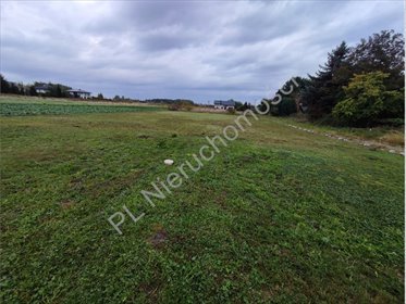 działka na sprzedaż 1000m2 działka Michałowice-Wieś