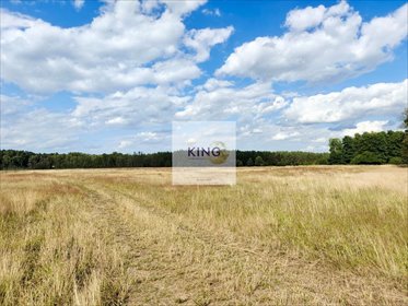 Sprzedam działkę rekreacyjną 6240 m² z możliwością domku i stawu działka Stolec