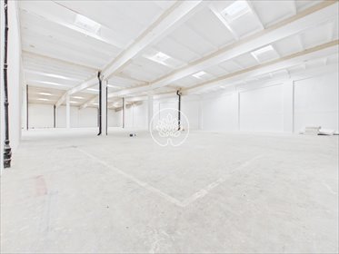 lokal użytkowy na wynajem 321m2 lokal użytkowy Toruń