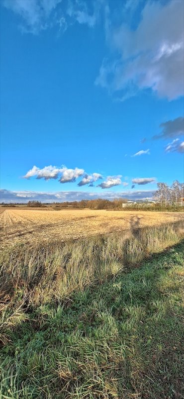 Działka inwestycyjna przy DK 39 w Wiązowie, 15 292 m² działka Wiązów
