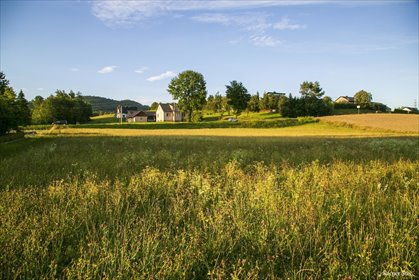 działka na sprzedaż 2600m2 działka Siemiechów