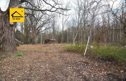 działka na sprzedaż 2980m2 działka Trojaczkowice, Trojaczkowice Duże