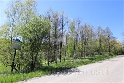 Działka inna na sprzedaż Brzoskwinia, Popówka, Brzoskwinia 8 200m2 Foto 4