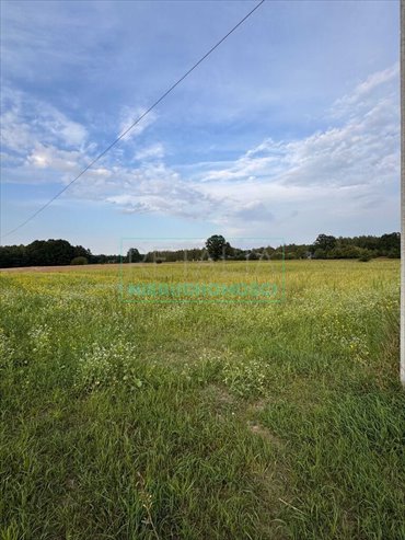 działka na sprzedaż 3000m2 działka Wężyk