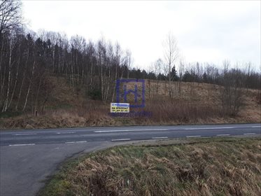 Działka budowlana na sprzedaż Kościelniki Górne 2 789m2 Foto 5