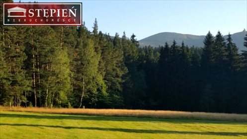 Działka budowlana na sprzedaż Antoniów 9 100m2 Foto 5