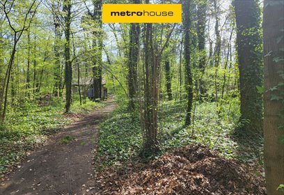 działka na sprzedaż 2594m2 działka Podkowa Leśna