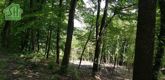 Działka inna na sprzedaż Przemyśl, Prałkowce 5 600m2 Foto 5