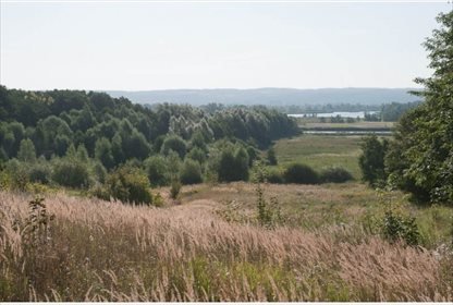 działka na sprzedaż 116958m2 działka Kurów