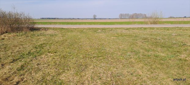 Działka 6400 m² z dostępem do asfaltu w Hołowienkach działka Hołowienki