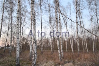 działka na sprzedaż 3000m2 działka Kobyłka