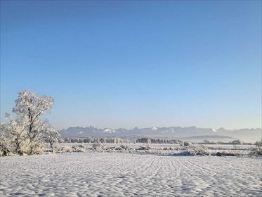 działka na sprzedaż 5000m2 działka Odrowąż