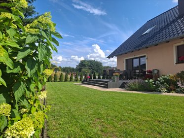 dom na sprzedaż 205m2 dom Lipinki Łużyckie