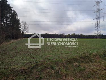 Sprzedam działkę rolną 20 361 m² z mediami i lasami działka Kowalewo