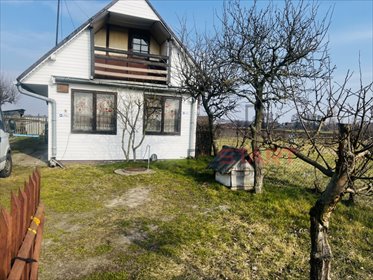 działka na sprzedaż 5000m2 działka Feliksów