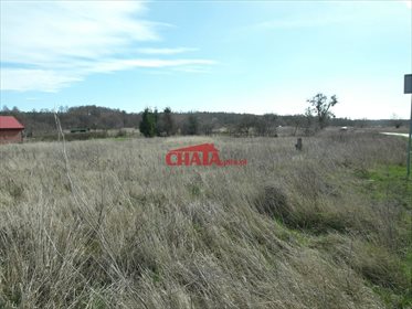 Działka inna na sprzedaż Kotuń 1 450m2 Foto 1