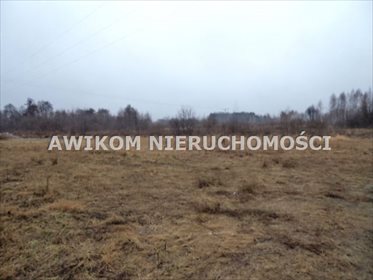 działka na sprzedaż 1600m2 działka Radziejowice, Tartak Brzózki