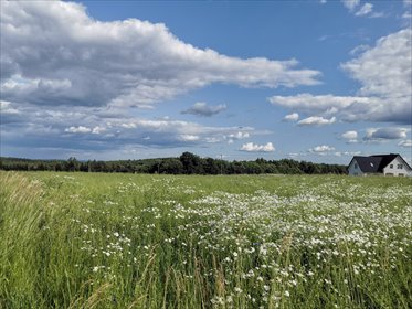 działka na sprzedaż 4700m2 działka Husów