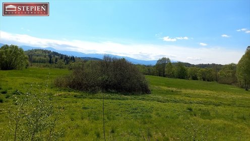 Działka budowlana na sprzedaż Bobrów 3 859m2 Foto 1