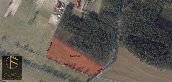 Działka rolno-budowlana 1,25 ha z dostępem do mediów działka Jarantów-Kolonia