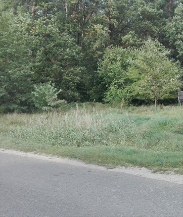 działka na sprzedaż 1234m2 działka Pabianice, Janowice