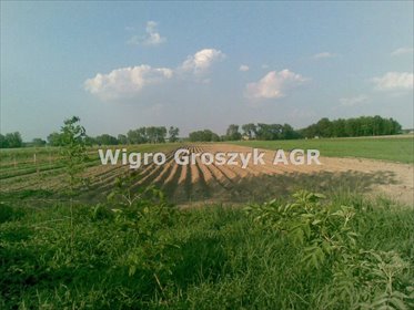 Sprzedam działkę 3000 m² z mediami i warunkami zabudowy działka Trębki Nowe