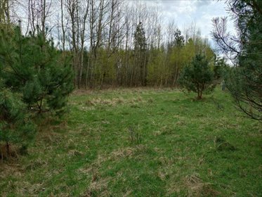 Działki 300 m² przy lesie, dostęp do drogi i mediów działka Gidle