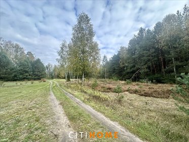 działka na sprzedaż 4303m2 działka Karczunek