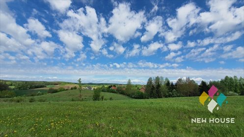 Działka rolna na sprzedaż Brąswałd 3 540m2 Foto 4