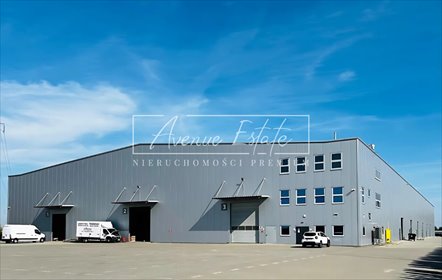 lokal użytkowy na wynajem 491m2 lokal użytkowy Kolonia Lesznowola
