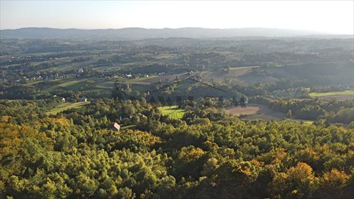 Działka leśna na sprzedaż Ryglice, Wola Lubecka 18 566m2 Foto 2