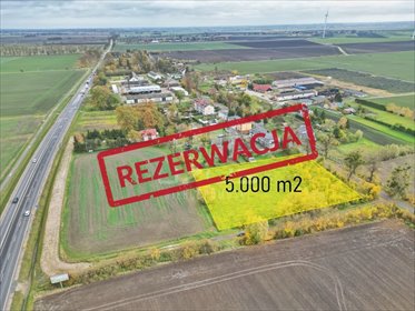 działka na sprzedaż 5000m2 działka Gnojewo