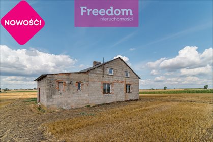 Magazyn na wynajem Panigródz 1 850m2 Foto 6