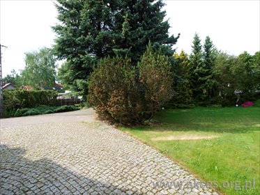 Dom na wynajem Dziekanów Polski 280m2 Foto 7