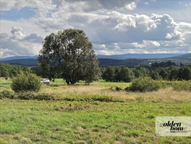 Działka 1340 m² z widokiem na Karkonosze polecam działka Grudza, Grudza/Kłopotnica