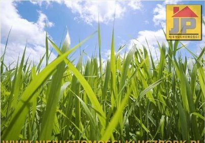 działka na sprzedaż 1436m2 działka Żabiniec