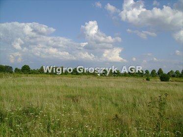 działka na sprzedaż 1170m2 działka Łomna, Łomna