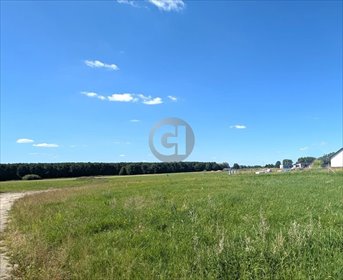 Polecam działkę 1044 m² z warunkami zabudowy w Boleminie działka Bolemin
