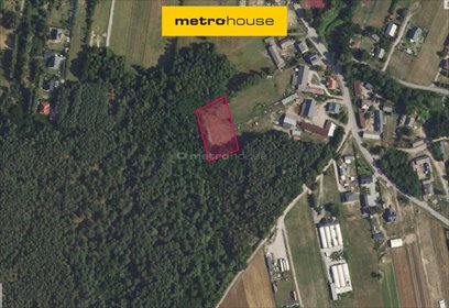 działka na sprzedaż 3300m2 działka Stary Kraszew