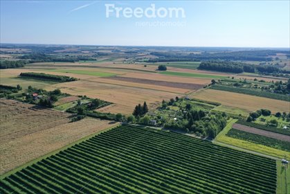 działka na sprzedaż 4300m2 działka Zakościelne