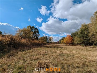 działka na sprzedaż 19500m2 działka Czarnowiec