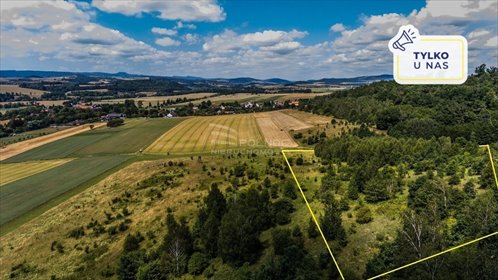 działka na sprzedaż 17800m2 działka Bierkowice