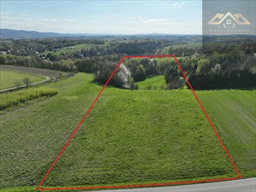 Działka 1,98 ha z lasem i widokami, szybka budowa działka Zalasowa