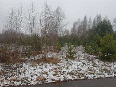 Działka rolna na sprzedaż Stare Polesie 3 000m2 Foto 3