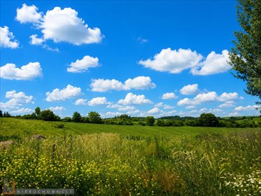 Działka budowlana 2081 m2 z mediami, spokojne Michałowice działka Michałowice