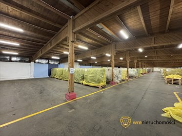 lokal użytkowy na wynajem 2911m2 lokal użytkowy Bolesławiec