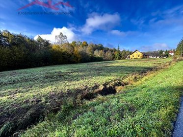 działka na sprzedaż 3032m2 działka Bałucianka