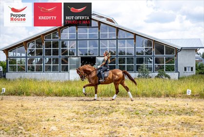 lokal użytkowy na sprzedaż 28600m2 lokal użytkowy Krubki-Górki