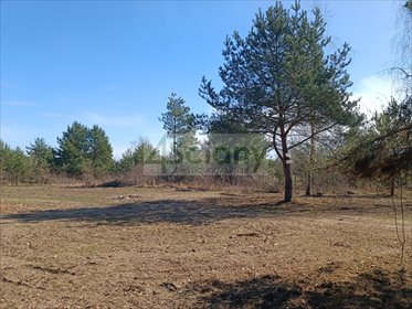 Na sprzedaż działka 1530 m² z mediami i MPZP w Słubicy Dobrej działka Słubica Dobra